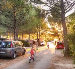 Campsites In Provence Avignon Et Provence